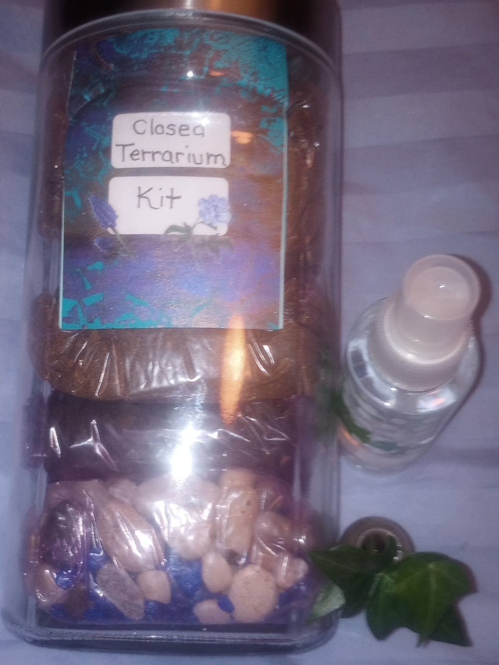 Closed Terrarium Kit - EVERYTHING INCLUDED ( Live Ivy Plant Cutting)